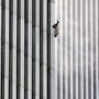 9/11 “Falling Man” phenomen. 200 falling bodies from WTC that history forgot.
