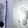 Russia: proofs of Yeti’s existence in Kemerovo region.