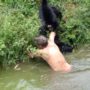 Sao Paulo: Joao Leite Dos Santos, a drunk Sorocaba Zoo visitor attacked by monkeys