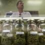 California: medical marijuana dispensaries are ordered to close from today