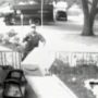 More FedEx and other companies delivery men caught on camera making “special deliveries”