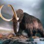 Woolly mammoth could be cloned within 5 years from bone marrow