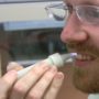 Breakthrough in dentistry: painless plasma brush could be available in 2 years