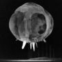 Image of a 1952 nuclear explosion captured at one ten-millionth of a second after detonation