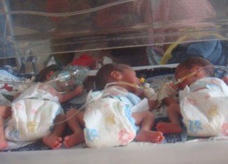 All six babies are well but under-weight, with one only weighing about 700g