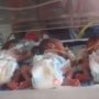 Afghan mother gave birth to sextuplets