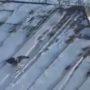Crow snowboarding on the roof