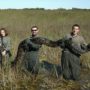 Florida: huge pythons and other large snakes are wiping out the mammal population