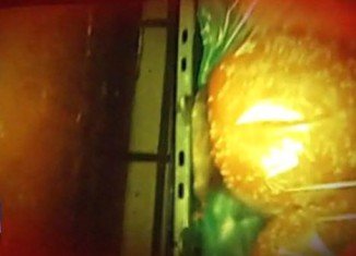 The shocking video, allegedly shot in a back storage room on November 14, appears to show a mouse scurrying around a bag of hamburger buns making contact with dozens of buns