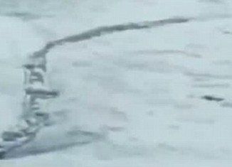 Images of a “serpent-like” sea creature gliding through the waters of an Icelandic river have been captured last week by Hjörtur Kjerúlf