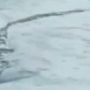 Iceland’s Loch Ness. Mysterious creature caught on camera in the Lagarfljót lake.