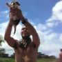 Lion King-ing, the latest internet phenomenon, sees pet owners lifting the animals above their head