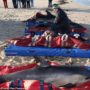 More than 100 dolphins beached off Cape Cod, Massachusetts