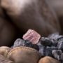 12.76-carat pink diamond found in Australia