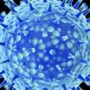 WHO experts delay the decision on publishing H5N1 bird flu virus full work