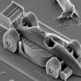 3D-nanoprinting world speed record set by Vienna University of Technology