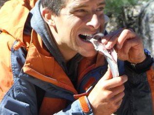Man vs. Wild’s Bear Grylls has been fired by Discovery Channel after he reportedly refused to work on two upcoming channel’s projects.