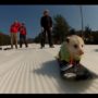 Ratatouille, the snowboarding opossum from Liberty Ski Resort, goes viral on internet