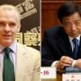 Neil Heywood case: Chinese police “covered-up” the murder not to be linked to Bo Xilai