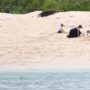 Angelina Jolie, Brad Pitt and their children enjoyed a day on Galapagos Islands beach