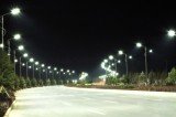 A new research suggests the presence of street lights substantially changes the ecology of ground-dwelling invertebrates and bugs