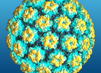 HPV infection can cause cervical cancer