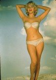 In 1960 Marilyn Monroe was deeply jealous of Elizabeth Taylor and posed nude in a bid to become more popular than her