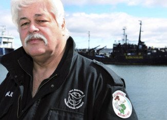 Paul Watson, the founder of US-based anti-whaling group Sea Shepherd has been arrested in Germany