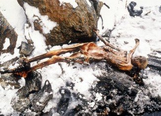 Researchers have found red blood cells around the wounds of Oetzi, the 5,300-year-old caveman found frozen in the Italian Alps in 1991