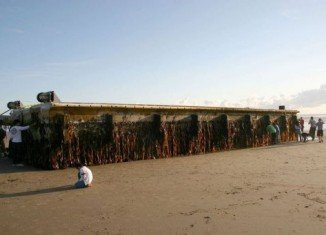A huge dock torn from a Japanese port by March 2011 tsunami has washed up in the US state of Oregon