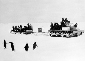 Accounts of unusual sexual activities among Adelie penguins, observed a century ago by Dr. George Murray Levick, a member of Captain Scott's polar team, are finally being made public