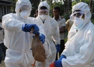 Scientists warn the H5N1 bird flu virus could change into a form able to spread rapidly between humans