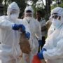 H5N1 bird flu virus mutations could cause deadly human pandemic