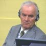 Ratko Mladic war crimes trial halted after evidence error