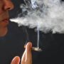Smoking vaccine tested on mice with relevant results