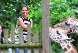 Katie Holmes appeared to be beaming yesterday as she took her daughter Suri Cruise on a trip to the Bronx Zoo