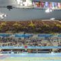 Olympics 2012: investigation over empty venue seats at Aquatics Centre