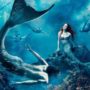 There is no evidence of mermaids existence, says National Ocean Service