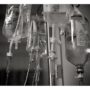 Chemotherapy can undermine itself by causing a rogue response in healthy cells