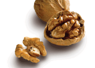 A study in the journal Biology of Reproduction suggests that eating around two handfuls of walnuts a day improves sperm health in young men