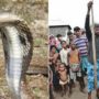 Man bites snake to death in Nepal