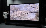 Super High-Vision 8K television format has been approved by the UN's communication standards setting agency