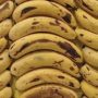 Bananas rotting could be stopped by seafood film