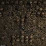 Paris catacombs: bones and skulls of 6 million dead fill 200-mile network of caves and tunnels