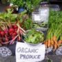 Organic food will not make you healthier