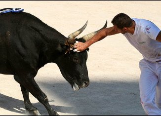 French top legal authority Constitutional Council has rejected a plea from animal rights campaigners to ban bullfighting