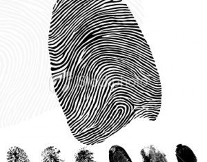 The vast majority of people are born with a unique set of fingerprints which remain the same for life