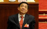 Chinese parliament has formally expelled disgraced politician Bo Xilai from the top legislature