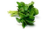 Ten out of 11 female volunteers experienced visible improvements to their skin after just 4 weeks of adding one bag of watercress a day to their diet