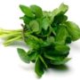Watercress: the latest wonder food in anti-ageing
